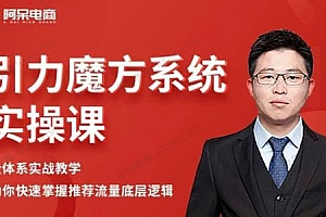 阿呆《引力魔方系统实操课》掌握推荐流量底层逻辑