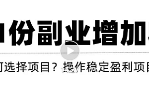 新手如何通过操作副业增加收入,从项目选择到玩法分享!【视频教程】