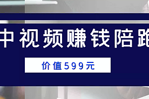 中视频赚钱陪跑,卖中视频账户赚钱收益陪跑项目(价值599元)