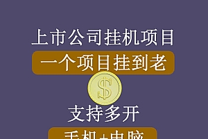 正规挂机项目,支持手机电脑一起挂,支持虚拟机多开,可以挂到老