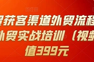 Mia外贸获客渠道外贸流程外贸英语洽谈外贸实战培训(视频课)价值399元