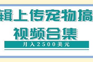编辑上传宠物搞笑视频合集,就可以通过YouTube赚钱月入2500美元【视频教程】