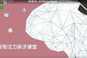 凯叔 跟脑科学家提升专注力