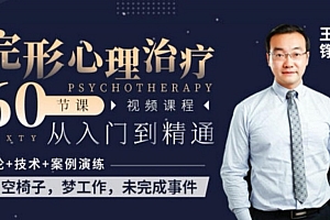 王铮《完形心理治疗》60节课从入门到精通