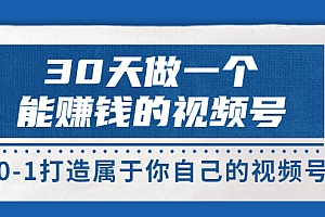 30天做一个能赚钱的视频号,从0-1打造属于你自己的视频号 (价值199元)