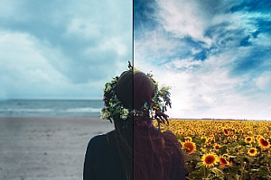 PS通道抠像案例课:再也不怕抠头发丝、半透明