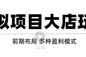 虚拟项目月入几万大店玩法分享,多店操作利润倍增(快速起店盈利)!