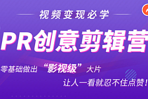 抖音赚钱必学的PR创意剪辑:零基础做出“影视级”大片,让人一看就忍不住为你点