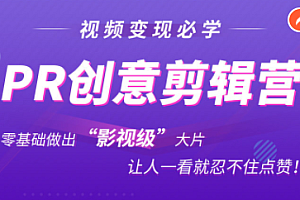 抖音赚钱必学的PR创意剪辑：零基础做出“影视级”大片，让人一看就忍不住为你点