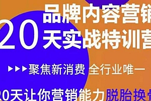 内容营销实操特训营 20天营销能力提升