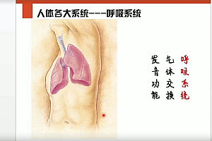 李哲老师讲人体组织和结构10课集