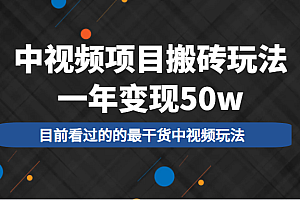 中视频项目搬砖玩法,一年变现50w,目前看过的的最干货中视频玩法