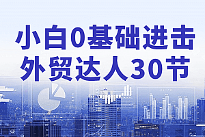 小白0基础进击外贸达人课程(30节) 阿里云盘资源
