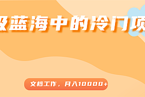 超级蓝海中的冷门项目,文档工作,好玩又赚钱,月入10000+