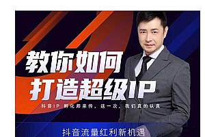 大齐·教你如何打造超级IP,抖音流量红利新机遇(价值980元)