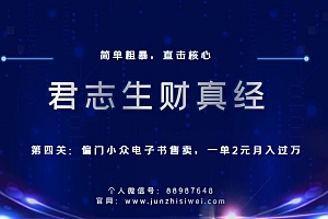君志生财真经第四关:一单2元月入过万,偏门小众电子书售卖