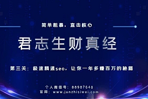 君志生财真经第三关:极速精通seo,让你一年多赚百万的秘籍