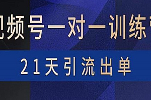 视频号训练营:带货,涨粉,直播,游戏,四大变现新方向,21天引流出单