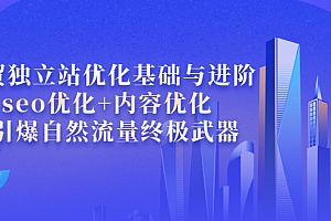 外贸独立站优化基础与进阶,seo优化+内容优化+引爆自然流量终极武器