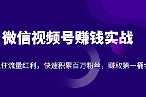 微信视频号赚钱实战:抓住流量红利,快速积累百万粉丝,赚取你的第一桶金