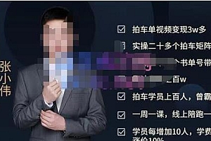 张小伟懂车帝拍车号实操课,懂车帝拍车号计划的整体的实操流程价值699元