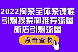 2022淘系全体系课程:引爆搜索和推荐流量,新店引爆流量