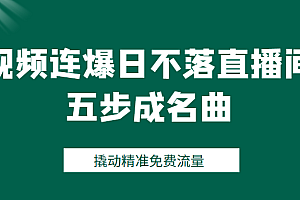 视频连爆日不落直播间五步成名曲,撬动精准免费流量(价值1980元)