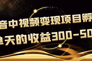 《抖音中视频变现项目孵化》单天的收益300-500 操作简单粗暴(无水印)