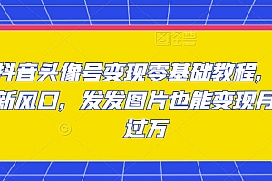抖音头像号变现零基础教程,全新风口,发发图片也能变现月入过万