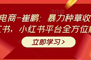 老高电商-崔鹏:暴力种草收割机小红书,小红书平台全方位解析