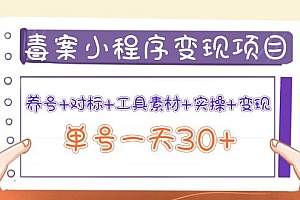 小程序变现项目:养号+对标+工具素材+实操+变现,单号一天30+