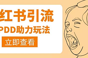 利用小红书卖拼多多助力,日赚100+,顺便还能引个流【视频课程】