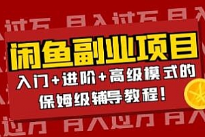 《月入过万闲鱼副业项目》入门+进阶+高级模式的保姆级辅导教程!