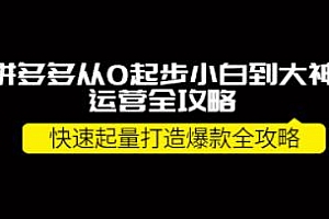 《拼多多 从0起步小白到大神运营全攻略》快速起量打造10W+爆款全攻略!