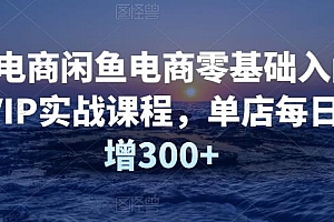 圣域电商闲鱼电商零基础入门到进阶VIP实战课程,单店每日净利增300+