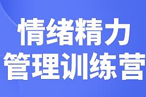 琳子博士《情绪精力管理训练营》做自己情绪的管理者培训课程视频