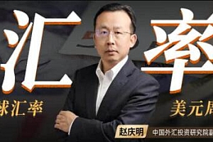 赵庆明《解码全球汇率》- -门课读懂全球汇率背后的逻辑 培训课程视频