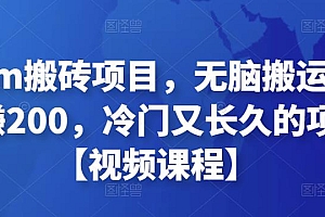 Steam搬砖项目,无脑搬运,一单赚200,冷门又长久的项目【视频课程】