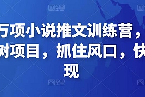 森罗万项小说推文训练营,万年常青树项目,抓住风口,快速变现