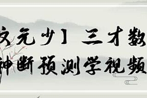 文元少《三才数字》神断预测学视频课程