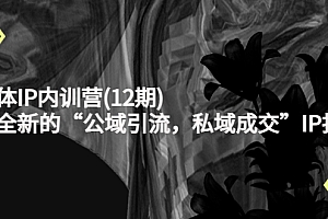 新媒体IP内训营(12期),一套全新的“公域引流,私域成交”IP打法,直接带走