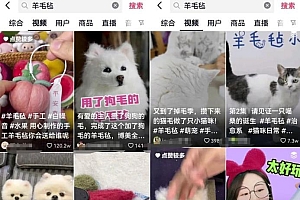 羊毛毡项目玩法思路,市场很大!小白也能上手的!供小于求!