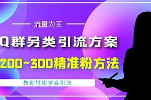 价值888的QQ群另类引流方案,半自动操作日200~300精准粉方法【视频教程】