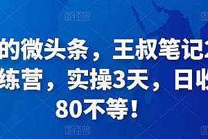 被忽视的微头条,王叔笔记21天微头条训练营,实操3天,日收益60-80不等!