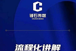 锤石传媒婉婉·金牌带货主播线上课,流程化讲解,打造金牌带货主播
