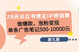 28天小红书博主IP特训营《第9期》做爆款,涨粉变现 单条广告笔记500-10000