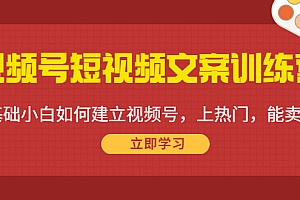 视频号短视频文案训练营：0基础小白如何建立视频号，上热门，能卖货