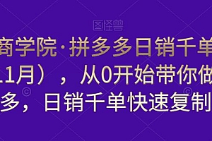 白凤电商学院·拼多多日销千单训练营(更新11月),从0开始带你做好拼多多,日销千单快速复制