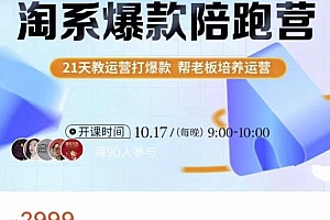 108将淘系爆款陪跑营【第九期】,从淘宝0开始,手把手教你链接起飞,爆款不断