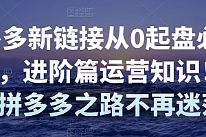 拼多多新链接从0起盘必须掌握,进阶篇运营知识!让你拼多多之路不再迷茫